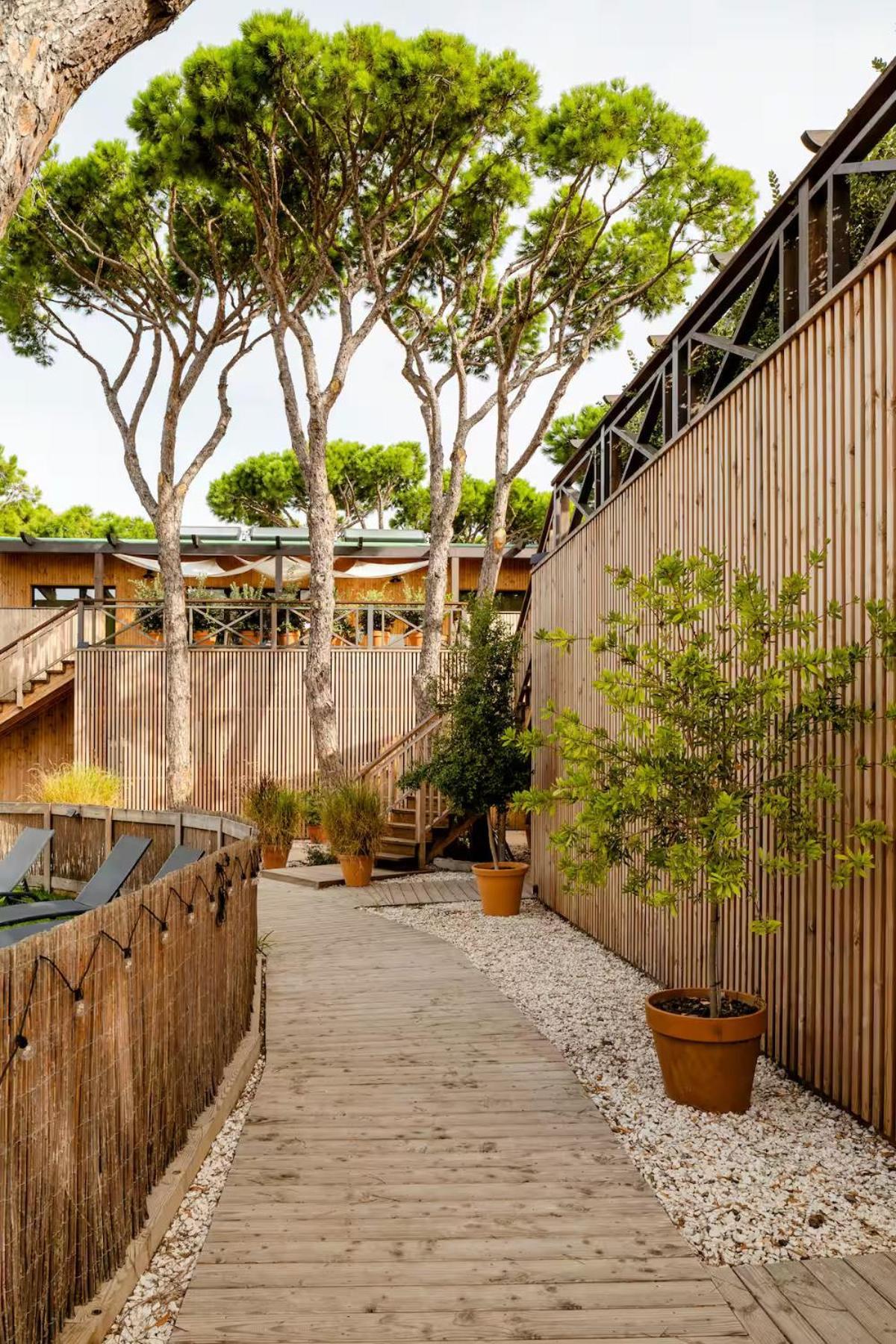 צ'יקלנה דה לה פרונטרה Apartamentos Biopasivos Living Pura Madera מראה חיצוני תמונה